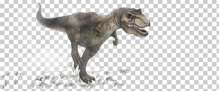 Tyrannosaurus Dinosaur Triceratops Carnivore PNG, Clipart, Animal, Carnivorous, Cartoon Dinosaur, Cat Like Mammal, Creatures Free PNG Download