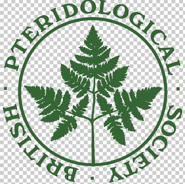 United Kingdom Fern The British Pteridological Society: Abstracts Of Reports And Papers Read At Meetings PNG, Clipart, Fern, Leaf, Line, Plant, Society Free PNG Download