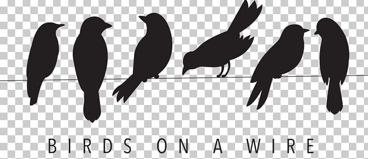 Bird Silhouette Stencil PNG, Clipart, Art, Beak, Bird, Birdcage, Bird On A Wire Free PNG Download
