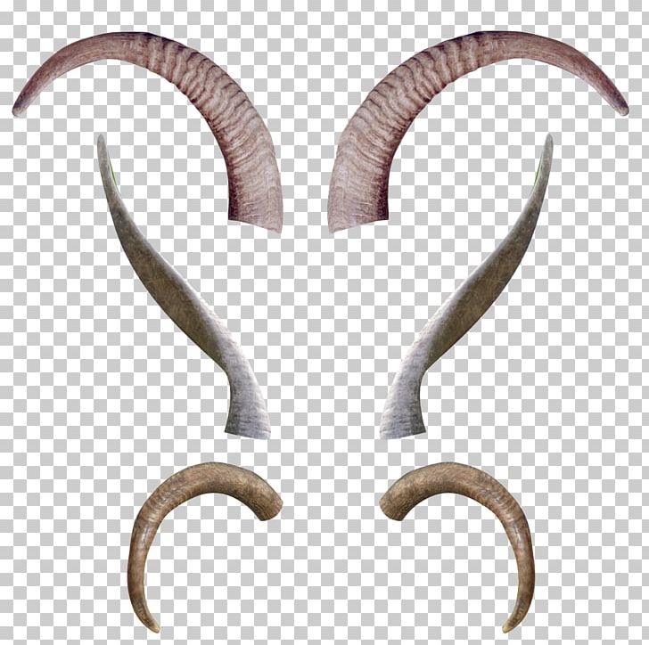 Deer Horn Antler Moose Cattle PNG, Clipart, Animal, Animal Hoarding, Antler, Bone, Cattle Free PNG Download