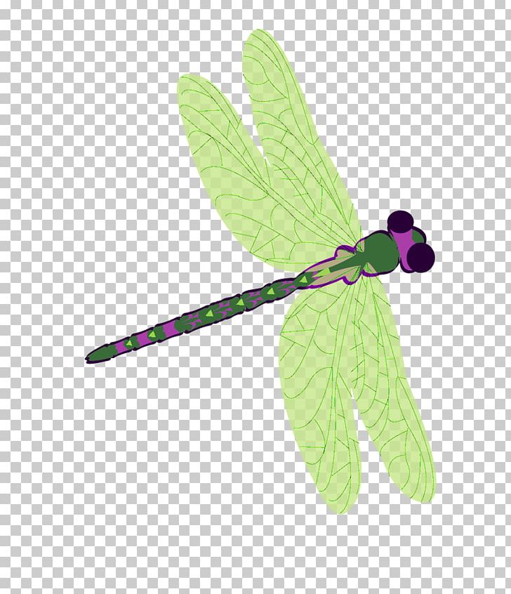 Dragonfly PNG, Clipart, Dragonflies And Damseflies, Dragonfly, Insect, Invertebrate, Leaf Free PNG Download
