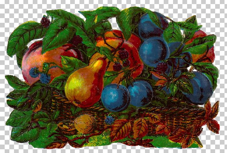 Fruit Food Gift Baskets PNG, Clipart, Art, Basket, Botany, Digital Illustration, Digital Image Free PNG Download