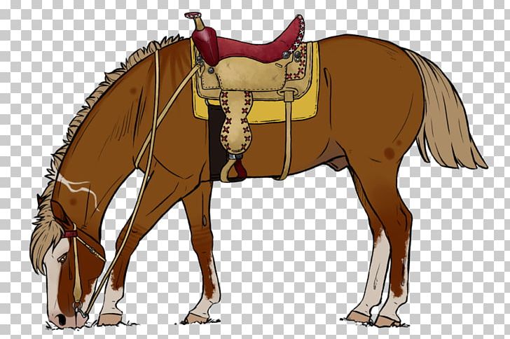 Mule Foal Stallion Halter Mare PNG, Clipart, Bridle, Colt, Donkey, Foal, Halter Free PNG Download