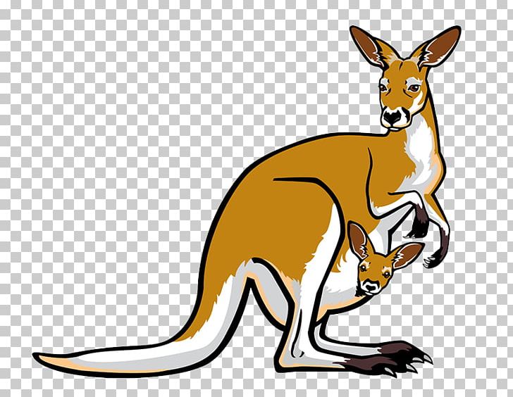 Red Kangaroo Pouch Illustration PNG, Clipart, Animal, Animals, Cartoon, Cartoon Character, Cartoon Eyes Free PNG Download