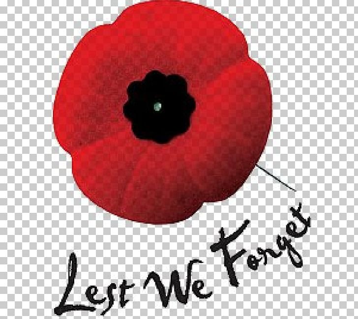 Selkirk Hague High School Armistice Day Remembrance Sunday Why We Remember PNG, Clipart, Armistice Day, Canada, Cenotaph, Ceremony, Coquelicot Free PNG Download