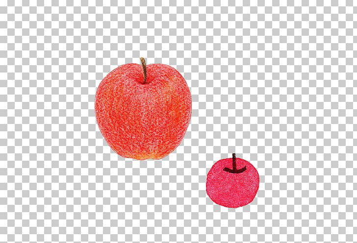 Apple Red Color Computer File PNG, Clipart, Apple, Color, Colored Pencil, Color Of Lead, Color Pencil Free PNG Download