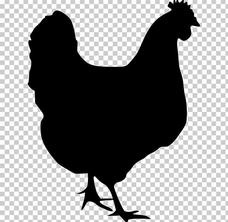 Houdan Chicken Polish Chicken Dorking Chicken Crèvecœur Chicken Cochin Chicken PNG, Clipart, Beak, Bird, Black And White, Chicken, Chicken As Food Free PNG Download