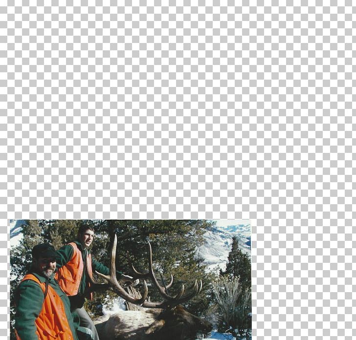 Hunting Yellowstone National Park Elk Fair Chase Outfitter PNG, Clipart, Conservation, Elk, Fair Chase, Hunting, Miscellaneous Free PNG Download