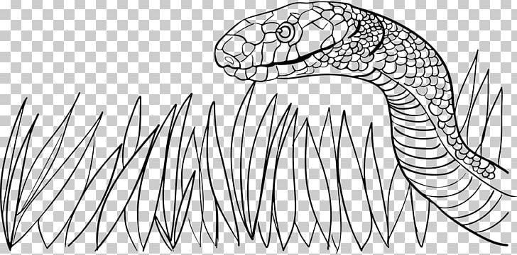 Reptile Snake Mongoose Vipers PNG, Clipart, Animals, Area, Artwork, Black And White, Brown Tree Snake Free PNG Download