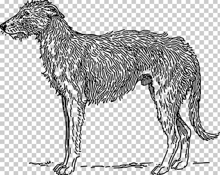 Scottish Deerhound Borzoi American Staghound Irish Wolfhound Bloodhound PNG, Clipart, American Staghound, Animal Figure, Basset Hound, Black And White, Bloodhound Free PNG Download