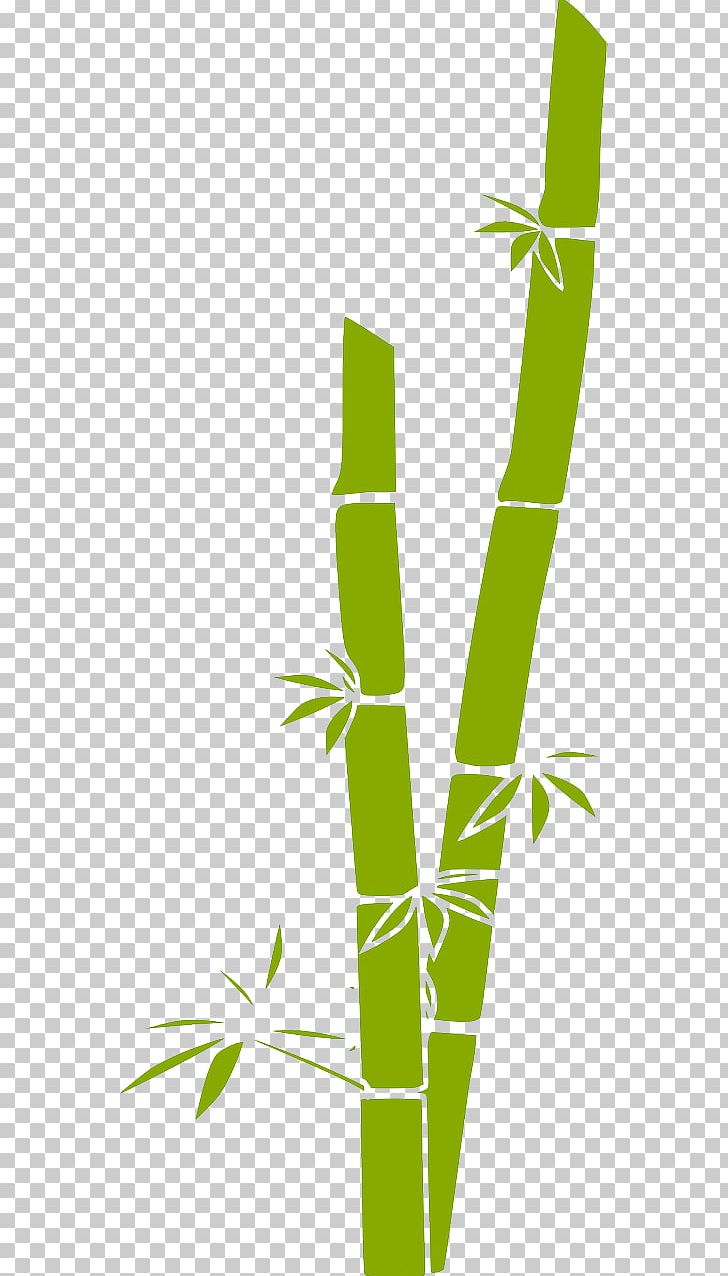Bamboo PNG, Clipart, Angle, Bamboo, Computer Icons, Computer Software, Download Free PNG Download