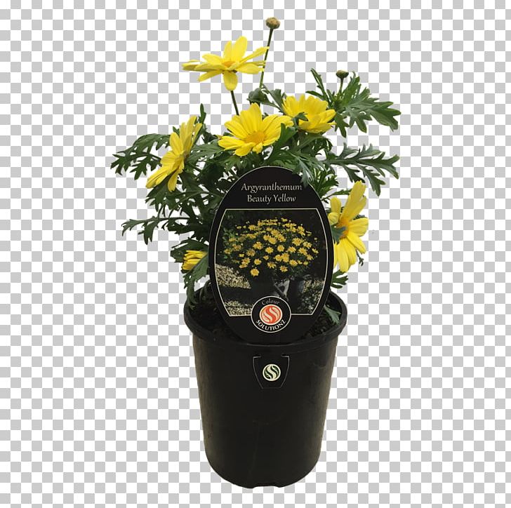 Flowerpot PNG, Clipart, Flower, Flowerpot, Nature, Plant, Yellow Free PNG Download