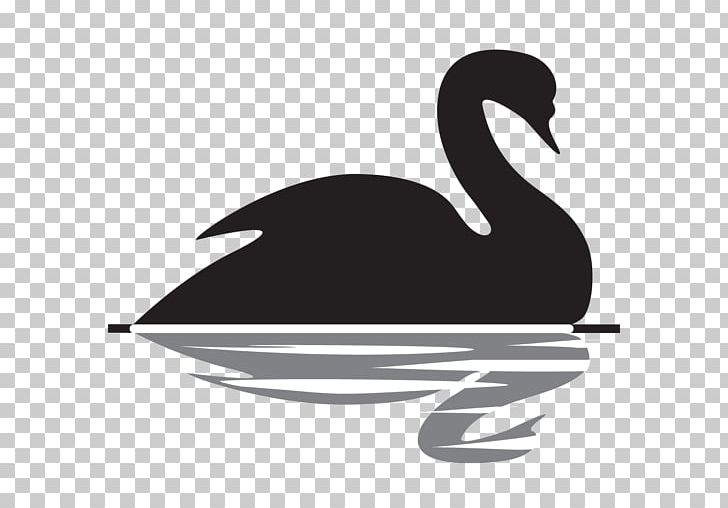 The Black Swan: The Impact Of The Highly Improbable Lebanon Black Swan Theory Finance PNG, Clipart, Beak, Bird, Black And White, Black Swan, Black Swan Theory Free PNG Download