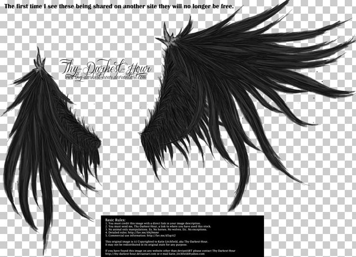 Wing PNG, Clipart, Angel Wing, Black And White, Black Hair, Darkest Hour, Desktop Wallpaper Free PNG Download