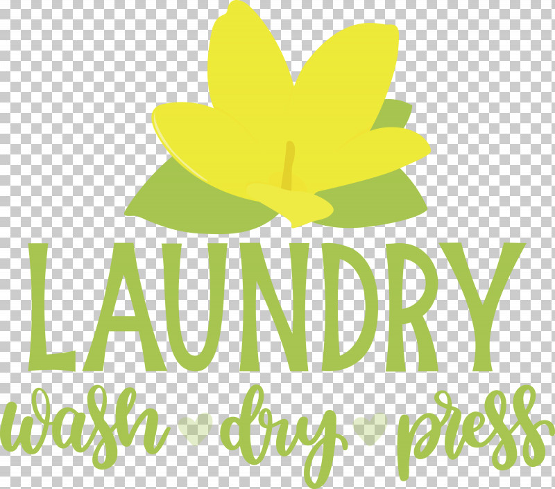 Laundry Wash Dry PNG, Clipart, Biology, Dry, Flower, Fruit, Geometry Free PNG Download