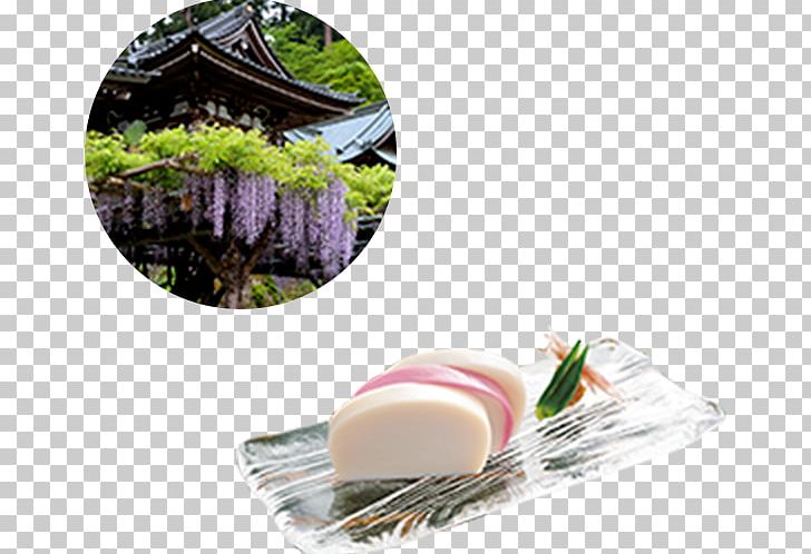 Odawara Castle Fuji-Hakone-Izu National Park Izu Peninsula Tōkaidō PNG, Clipart, Asian Food, Castle Town, Commodity, Cuisine, Dish Free PNG Download