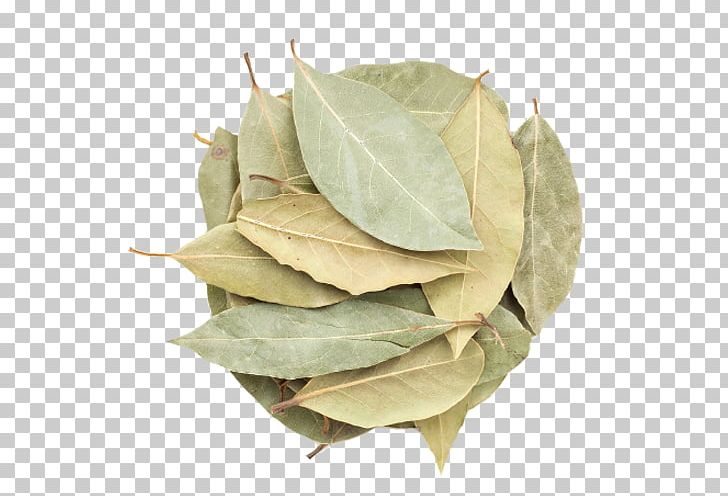 Bay Laurel Indian Cuisine Spice Bay Leaf Herb PNG, Clipart, Bay Laurel, Bay Leaf, Bay Leaves, Commodity, Cuisine Free PNG Download
