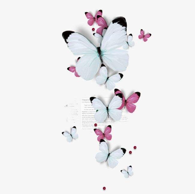 Butterfly PNG, Clipart, Abstract, Backgrounds, Beautiful, Beauty, Beauty In Nature Free PNG Download