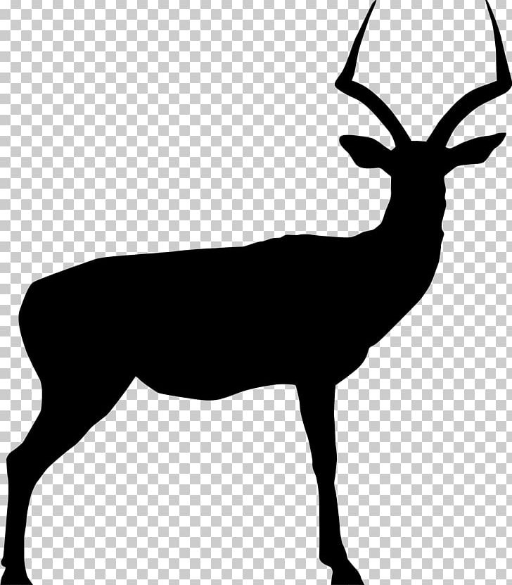 Chevrolet Impala Deer PNG, Clipart, Antelope, Antler, Black And White, Can Stock Photo, Chevrolet Free PNG Download