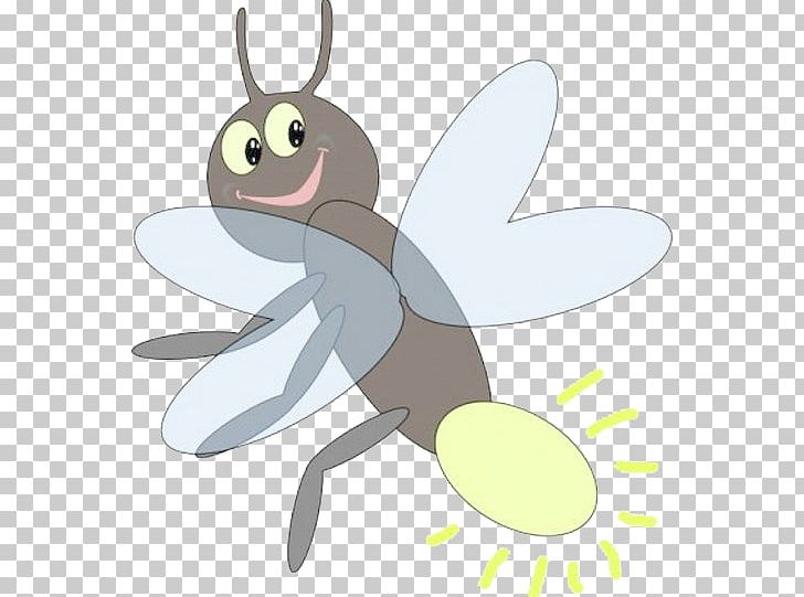 Insect Drawing Firefly PNG, Clipart, Animals, Cartoon Character, Cartoon Eyes, Cartoons, Fictional Character Free PNG Download