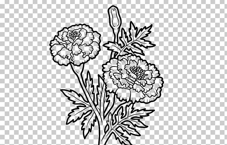 Mexican Marigold Drawing PNG, Clipart, Art, Artwork, Black And White, Calendula Officinalis, Coloring Book Free PNG Download