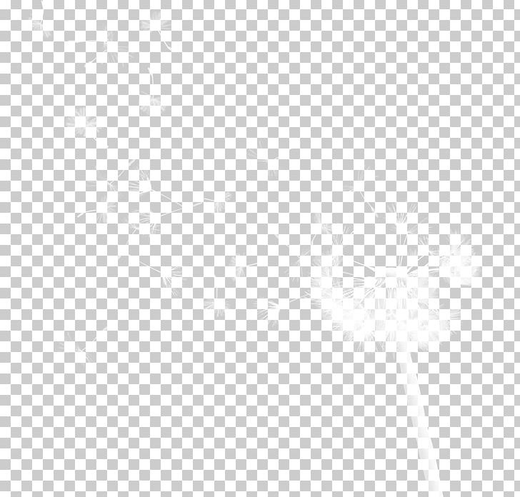 White Black Angle Pattern PNG, Clipart, Angle, Black, Black And White, Black Dandelion, Buy Now Free PNG Download