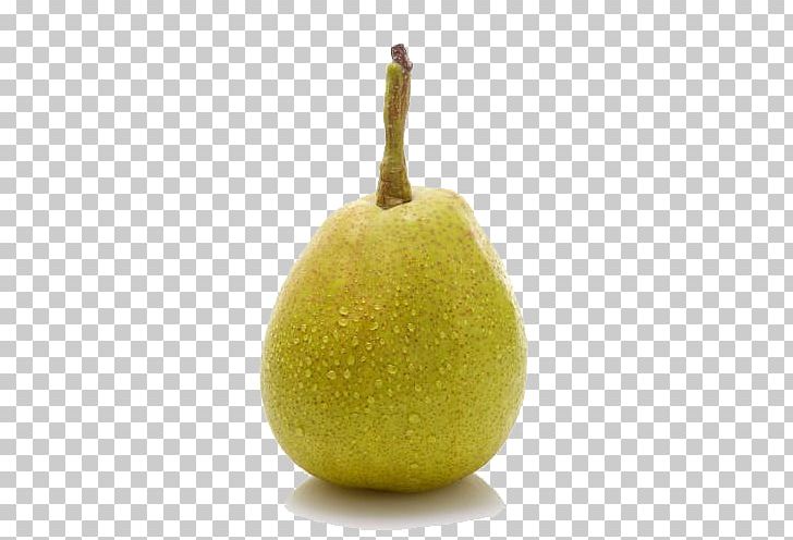 Asian Pear European Pear Organic Food PNG, Clipart, Asian Pear, Download, European Pear, Food, Fruit Free PNG Download