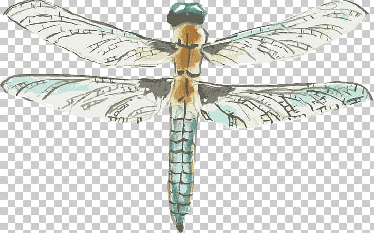 Dragonfly Watercolor Painting Drawing PNG, Clipart, Art, Arthropod, Cartoon, Design Element, Encapsulated Postscript Free PNG Download