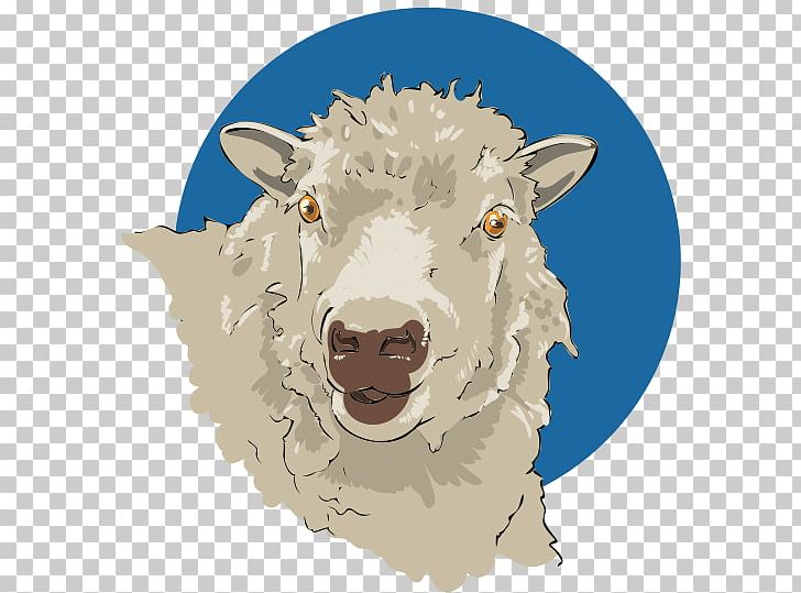 Goat Photography Drawing Merino PNG, Clipart, Android, Animals, Cattle Like Mammal, Cow Goat Family, Download Free PNG Download