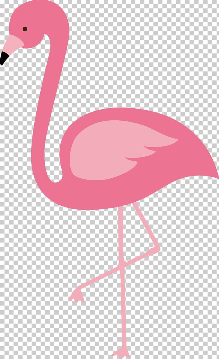 Flamingos Bird Euclidean PNG, Clipart, Animal, Animation, Autocad, Beak, Birds Free PNG Download