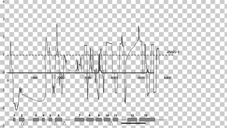 Fucoxanthin Marine Drugs Pharmacology PNG, Clipart, Angle, Area, Black And White, Carotenoid, Diagram Free PNG Download