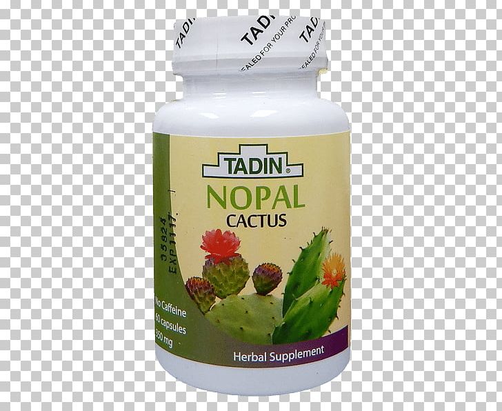 Herbal Tea Nopal Tadin Herb & Tea Co. PNG, Clipart, Aloe, Aloe Vera, Cactaceae, Capsule, Dietary Supplement Free PNG Download