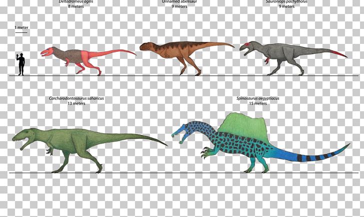 Velociraptor Tyrannosaurus PNG, Clipart, Adductor, Animal, Animal Figure, Comparison, Dinosaur Free PNG Download