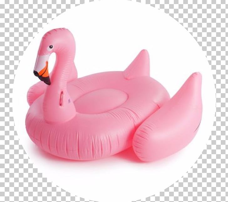 Bird Pink M PNG, Clipart, Animals, Bird, Ducks Geese And Swans, Pink, Pink M Free PNG Download