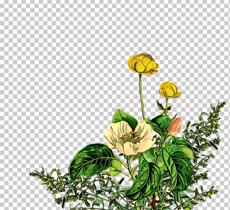 Floral Design PNG, Clipart, Common Wormwood, Cut Flowers, Floral Design, Flower, Herbaceous Plant Free PNG Download