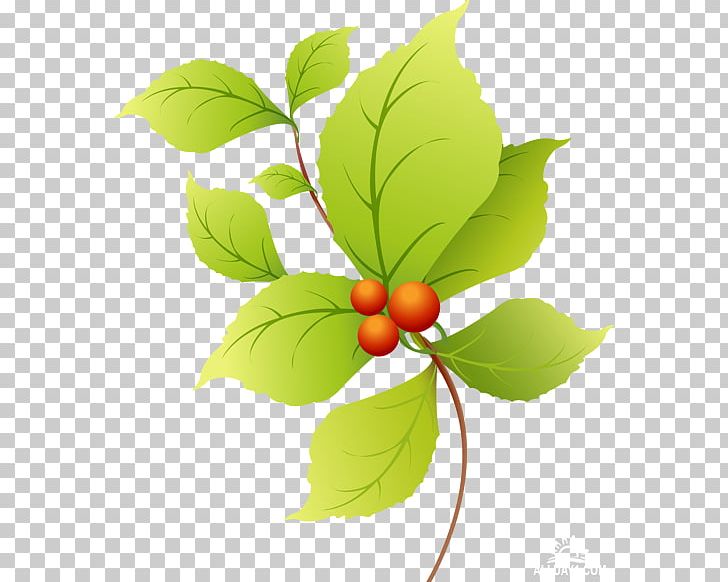 Collage Leaf PNG, Clipart, Branch, Cherry, Collage, Computer Icons, Flowering Plant Free PNG Download