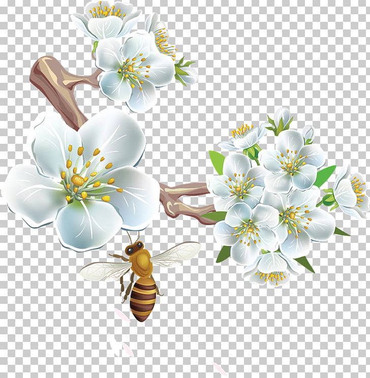 Honey Bee Flower PNG, Clipart, Bee, Blossom, Cherry Blossom, Cut Flowers, Download Free PNG Download