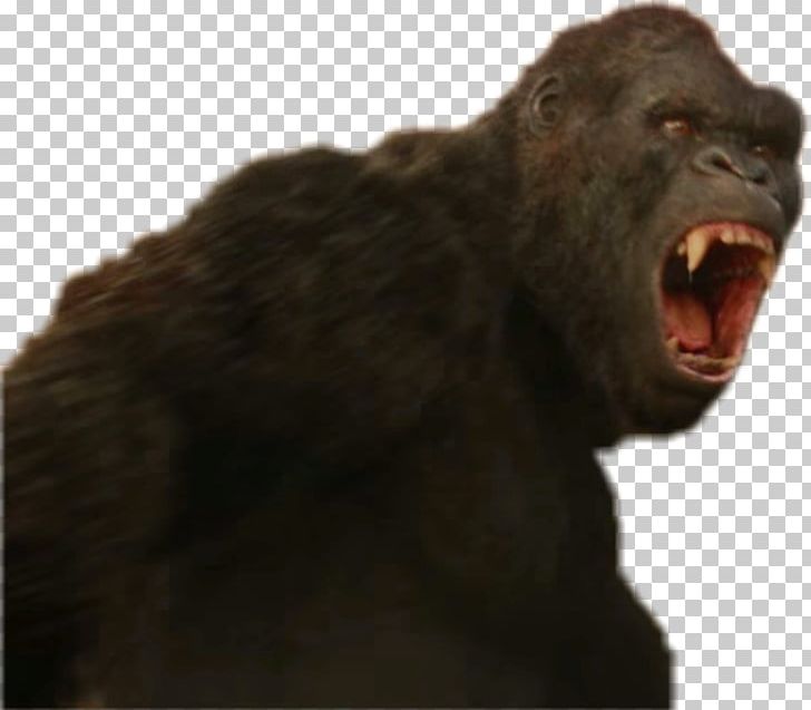 King Kong Ape Western Gorilla Common Chimpanzee PNG, Clipart, 2017, Aggression, Ape, Art, Chimpanzee Free PNG Download