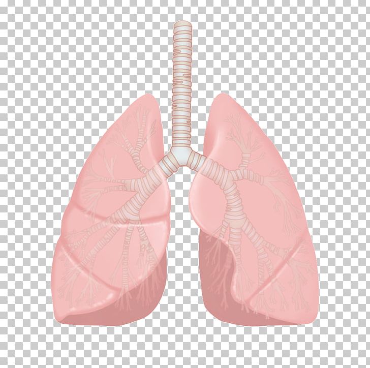 Nursing Nurse Disease Illustration Lung PNG, Clipart, Common Cold, Disease, Download, Habit, Injury Free PNG Download