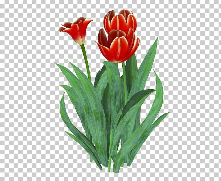 Tulip Floristry Cut Flowers TinyPic PNG, Clipart, Cut Flowers, Floristry, Flower, Flowering Plant, Flowerpot Free PNG Download