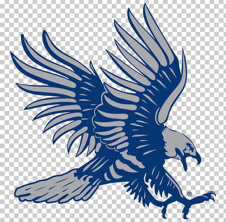 Dickinson State University Dickinson State Blue Hawk Football Valley City State University Dickinson State Blue Hawks Men's Basketball Dakota State University PNG, Clipart,  Free PNG Download