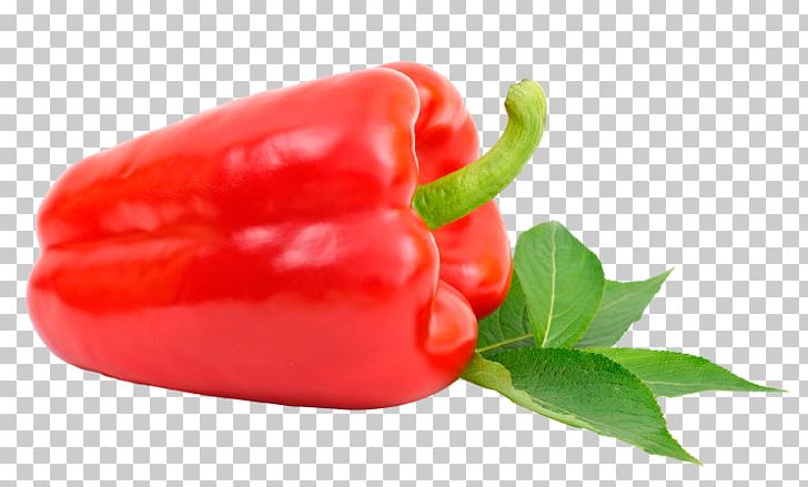 Habanero Piquillo Pepper Bird's Eye Chili Tabasco Pepper Jalapeño PNG, Clipart, Chile Pepper, Habanero, Jalapeno, Piquillo Pepper, Tabasco Pepper Free PNG Download