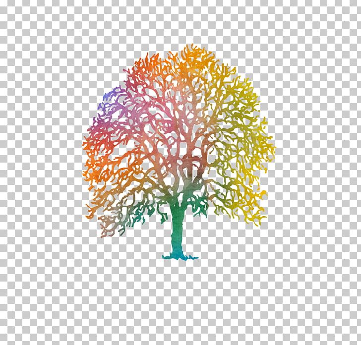Line Branching Kohu Road Ltd PNG, Clipart, Branch, Branching, Colorful Painting, Line, Organism Free PNG Download
