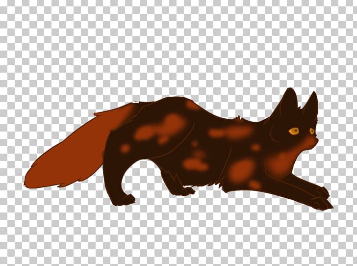 Whiskers Red Fox Cat Snout PNG, Clipart, Animal, Animal Figure, Animals, Carnivoran, Cat Free PNG Download