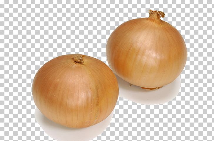Yellow Onion S&B Foods PNG, Clipart, Allium Fistulosum, Brown, Brown Background, Brown Bear, Brown Dog Free PNG Download