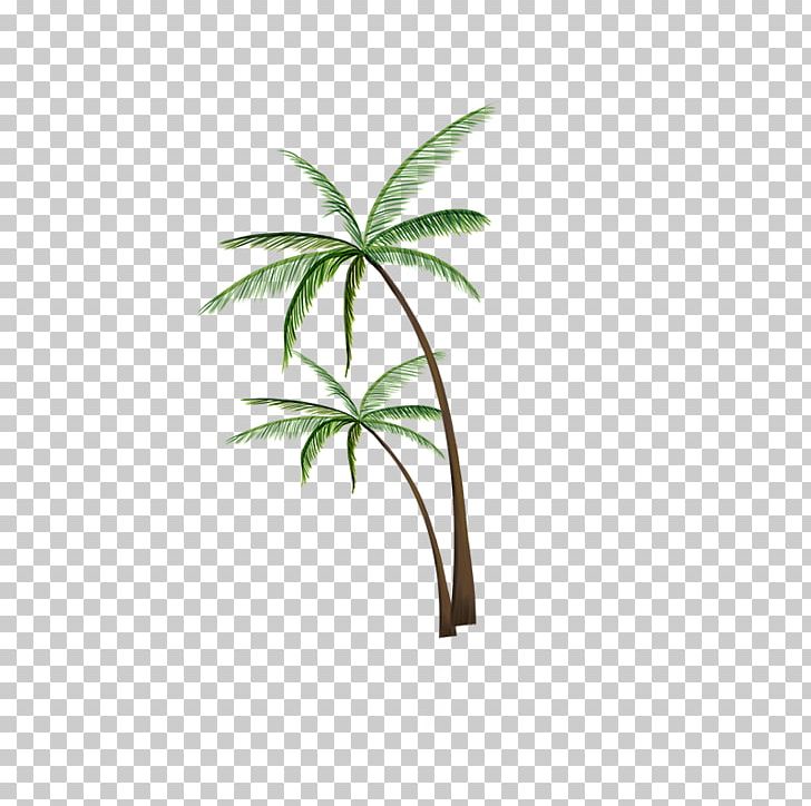 Coconut Tree PNG, Clipart, Cartoon, Christmas Tree, Coconut, Coconut Tree, Download Free PNG Download