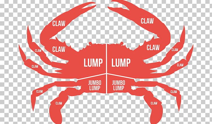 Dungeness Crab Crab Cake Deviled Crab Crab Meat PNG, Clipart, Animals, Chesapeake Blue Crab, Crab, Crab Cake, Crustacean Free PNG Download