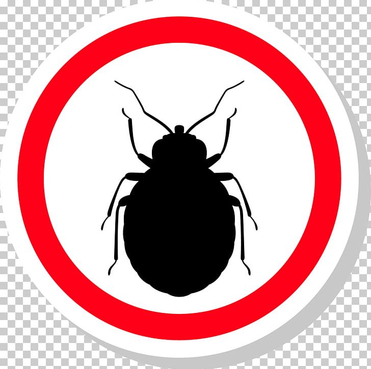 Insect Bed Bug Pest Animal PNG, Clipart, Animal, Animals, Area, Arthropod, Artwork Free PNG Download
