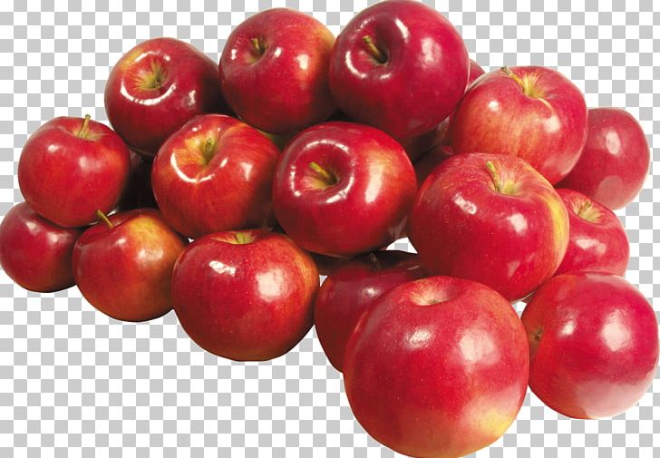 Apple Red Delicious PNG, Clipart, Accessory Fruit, Acerola, Acerola Family, Appl, Apple Free PNG Download