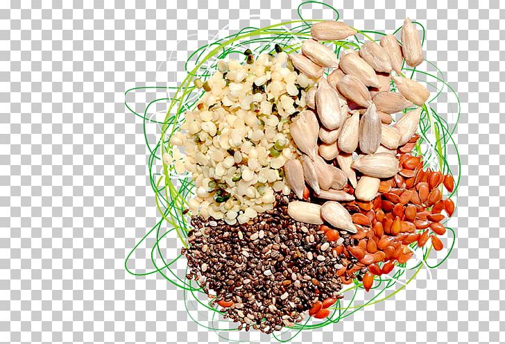 Bean Seed Food Crop Plant Tissue Culture PNG, Clipart, Bean, Best, Commodity, Common Bean, Crop Free PNG Download